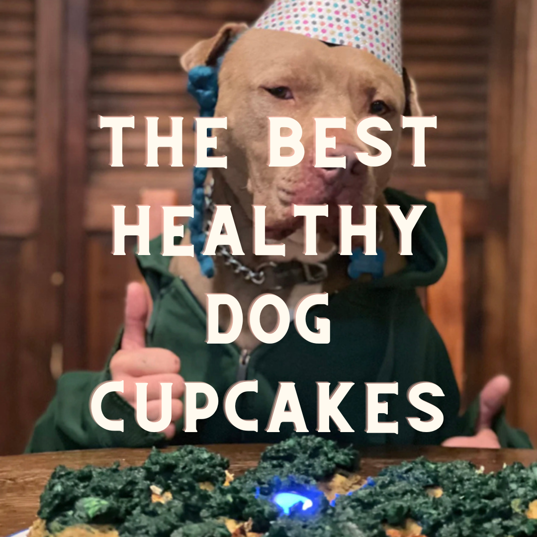 dog-birthday-cupcake-recipe-healthy-whole-food-based-nutritious