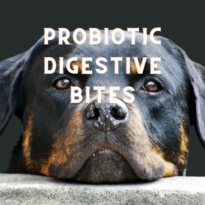 Probiotic Digestive Bites
