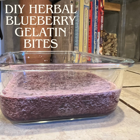 The Simplest DIY Herbal Blueberry Gelatin Bites for Your Dog
