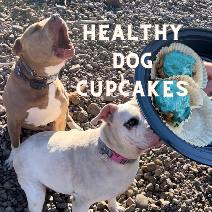 How To Make Your Dog Healthy Cupcakes (that aren't full of artificial ingredients & sugar!)
