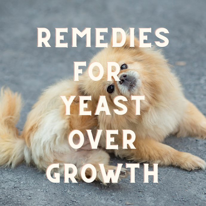 Top Internal Remedies For Yeast Overgrowth