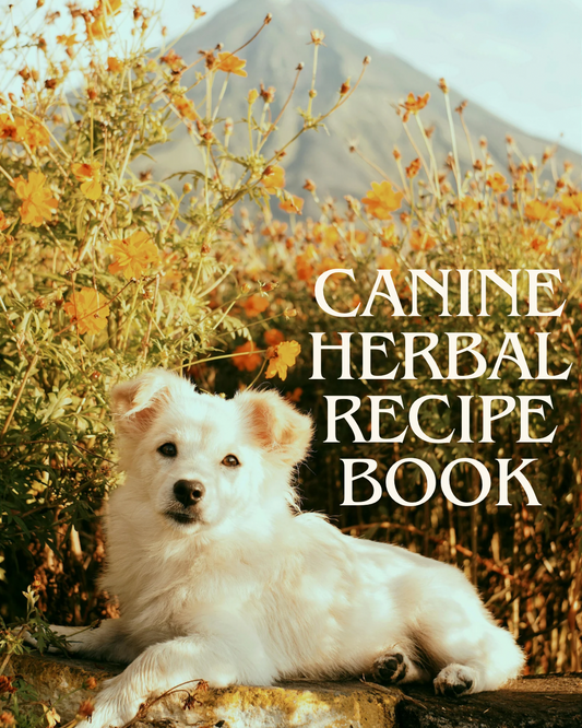 Herbal recipe book for dogs — real food toppers, frozen snacks, and homemade herbal treats.