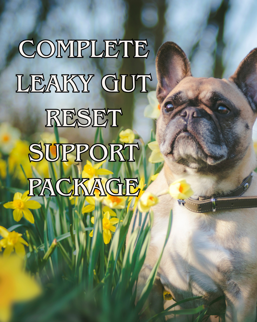 Digestive Intolerances: The Complete Leaky Gut Reset System