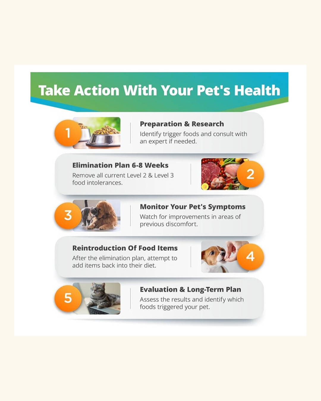 5-Strands - Pet Food Intolerance Test