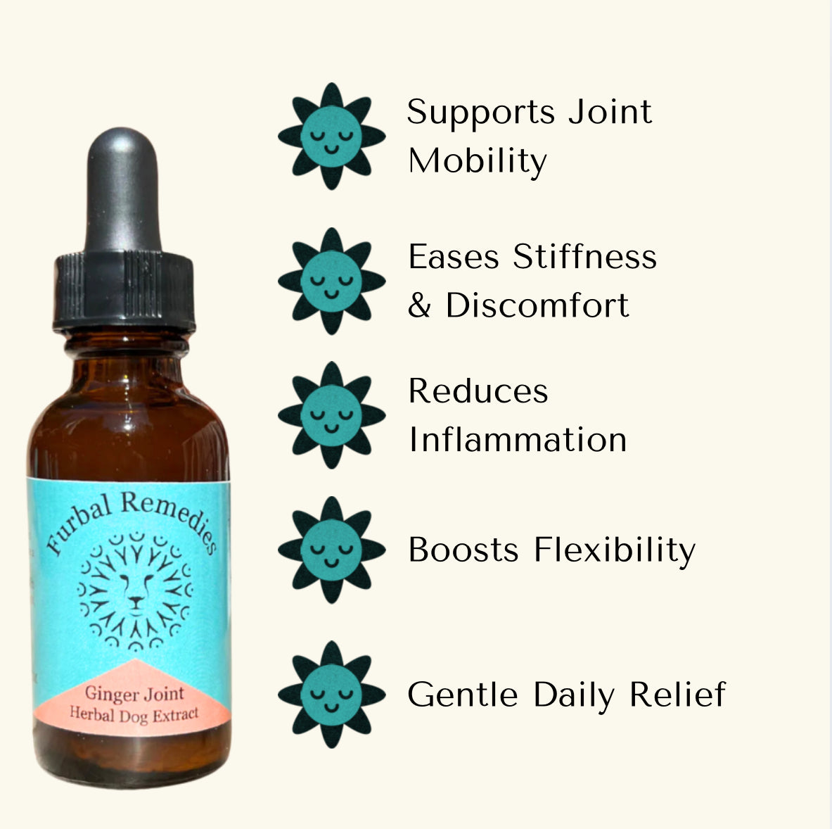 Joint Support — Ginger Joint Extract for Dogs & Cats