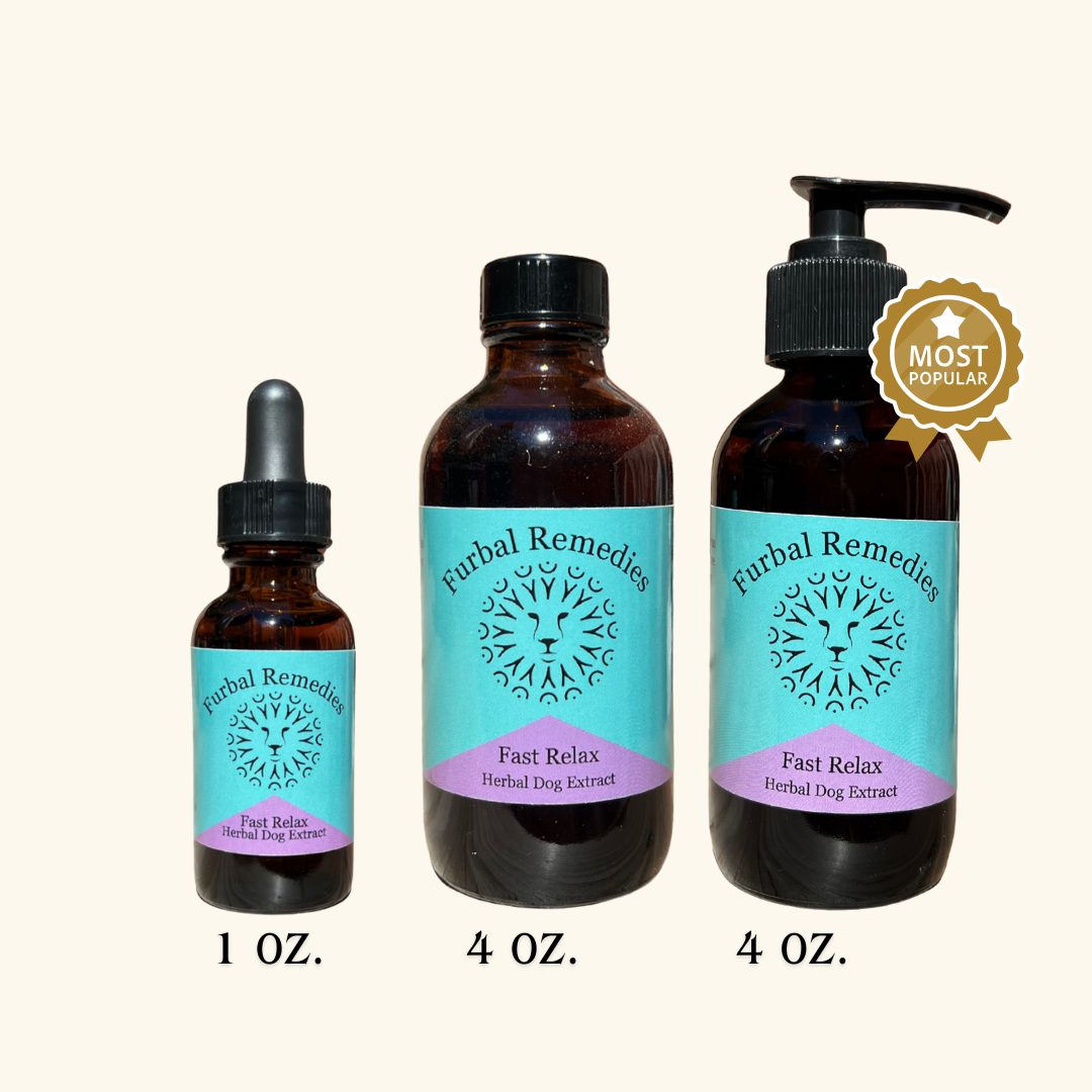 Anxiety — Fast Relax Extract for Dogs | Herbal Dog Anxiety Relief