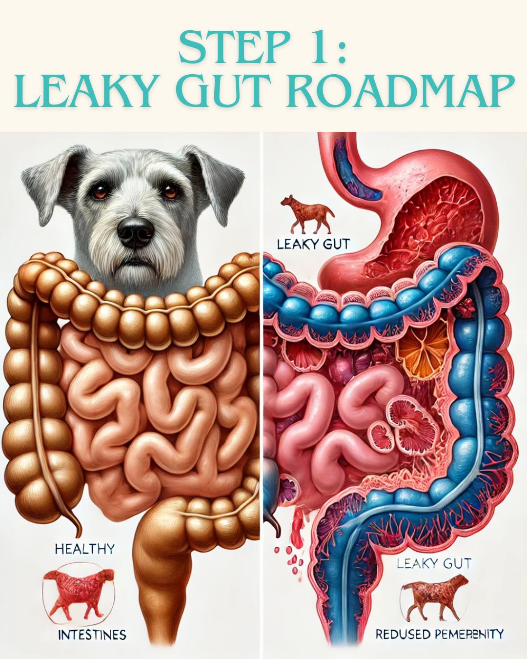 Digestive Intolerance Class - Leaky Gut Roadmap - Free