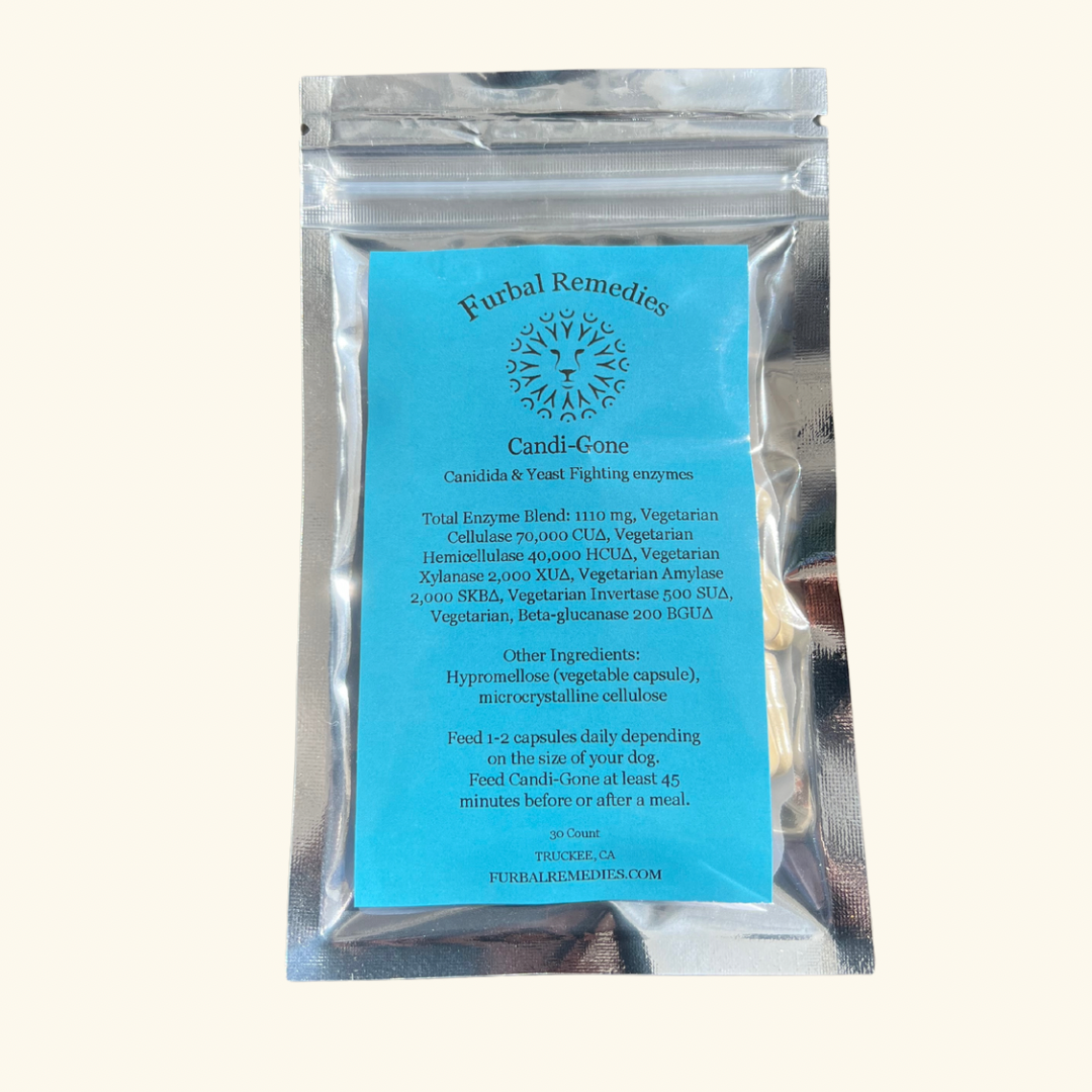 Digestive Support — Candi-Gone Enzyme Supplement for Dogs & Cats