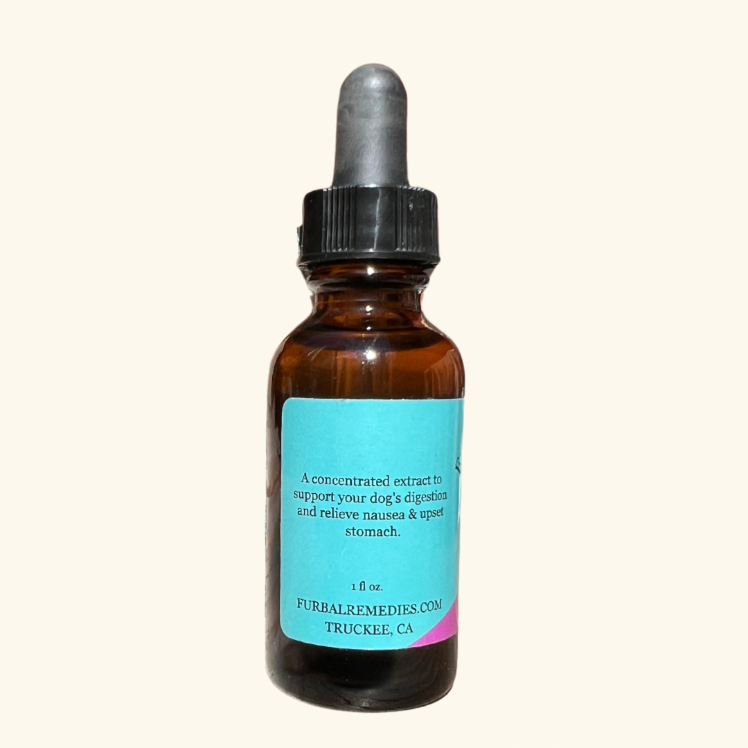 Digestive Health — Tummy Tonic Extract for Dogs & Cats | Herbal Gut Soother