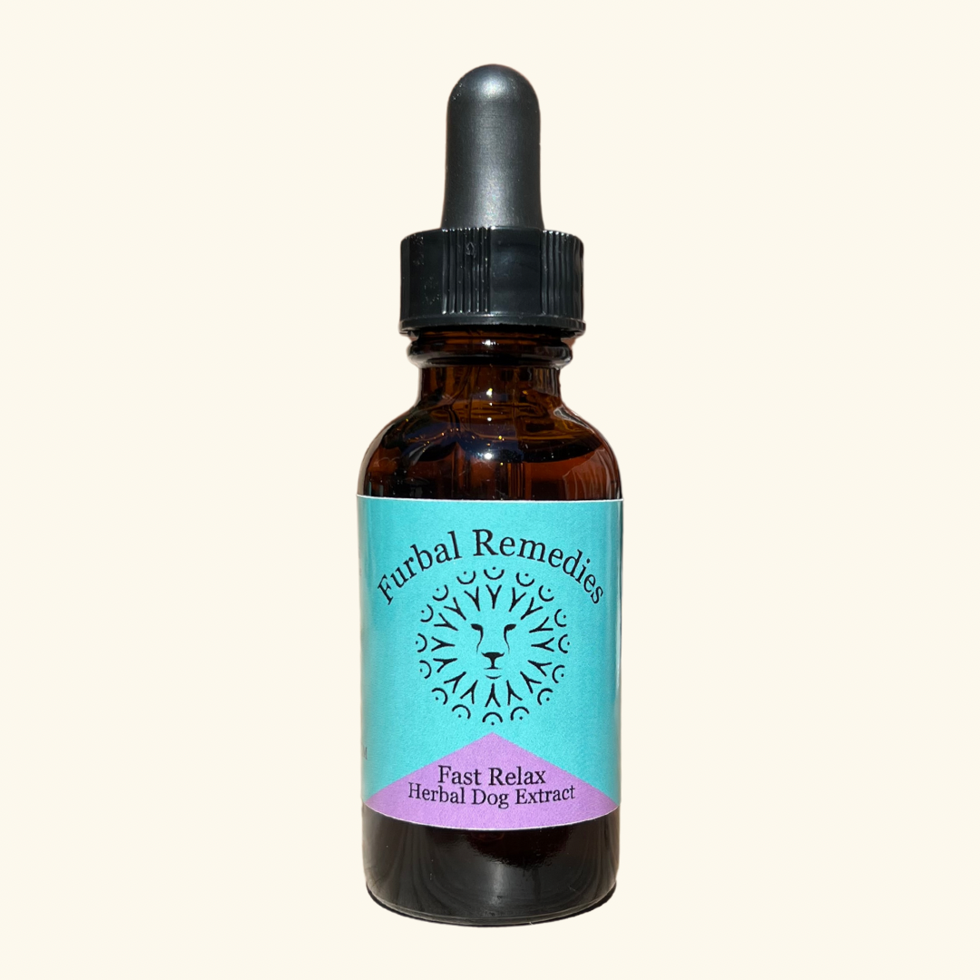 Anxiety — Fast Relax Extract for Dogs | Herbal Dog Anxiety Relief