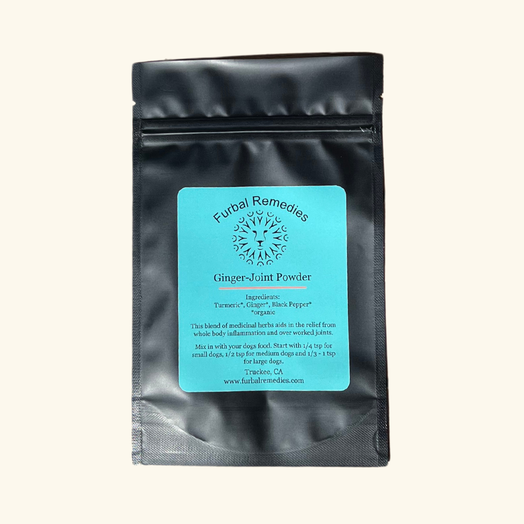 Joint Support — Ginger Joint Powder for Dogs & Cats