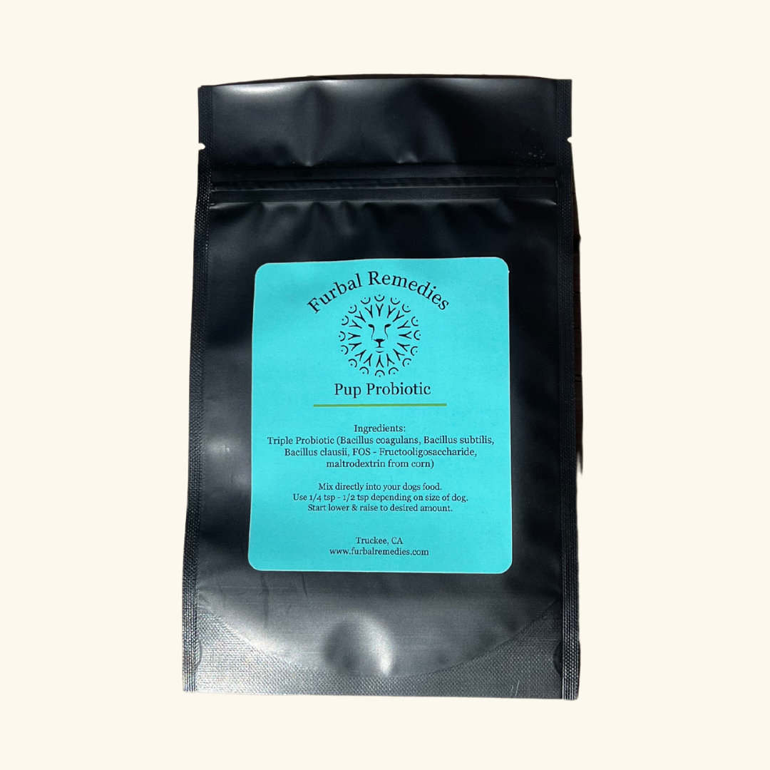 Digestive Health — Pup Probiotic for Dogs & Cats