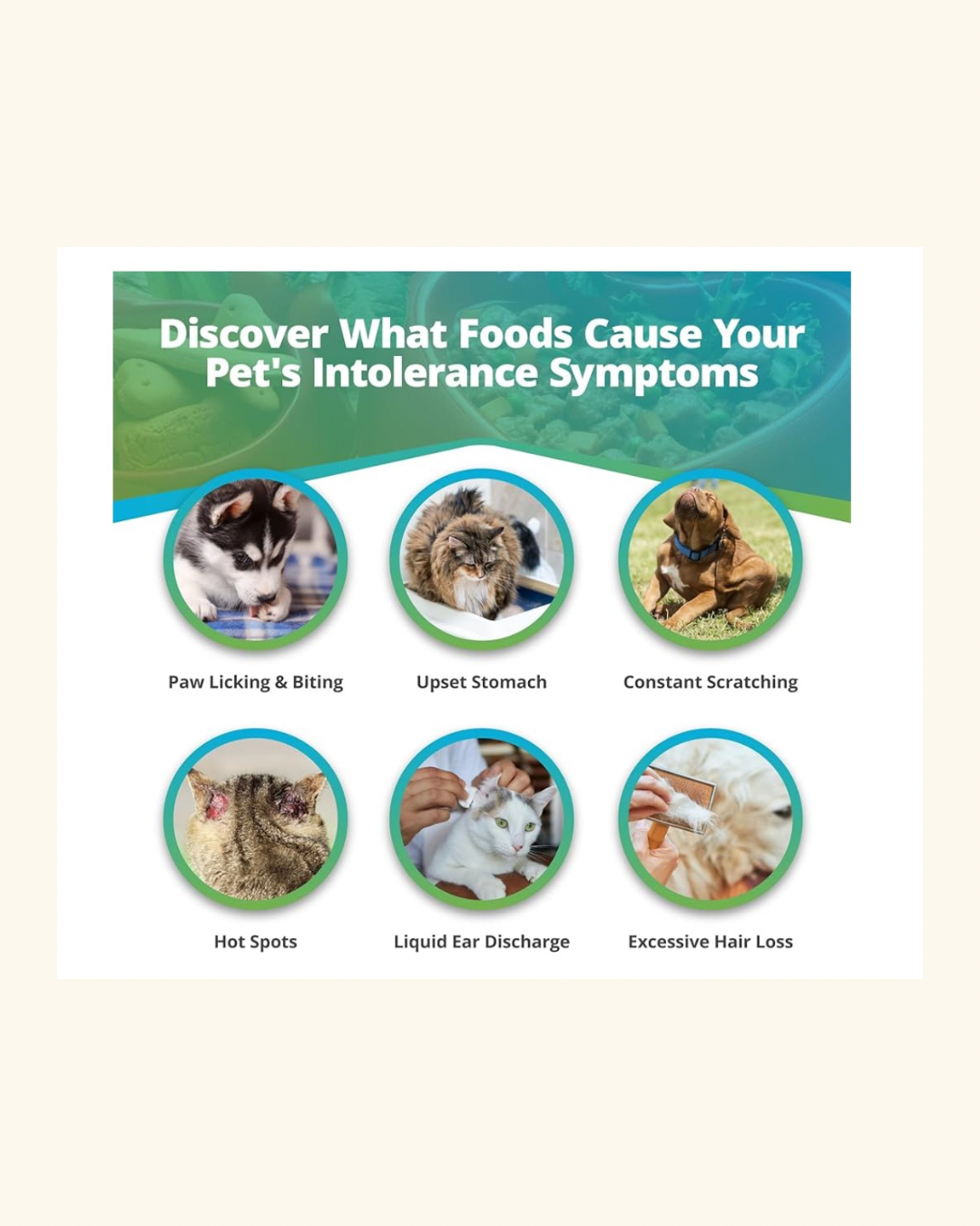 5-Strands - Pet Food Intolerance Test