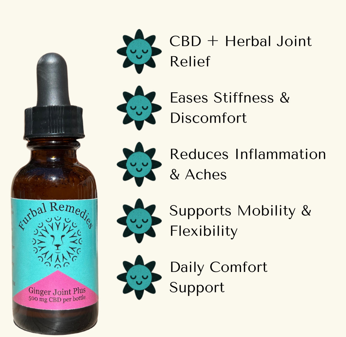 Joint Support — Ginger Joint Plus+ CBD Extract for Dogs & Cats
