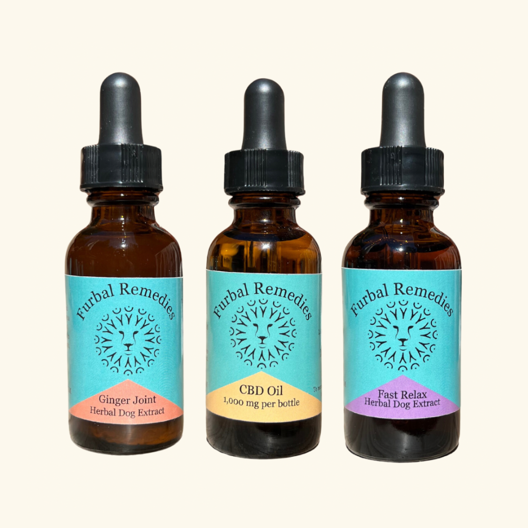 Post Injury / Surgery - Recovery Triad Bundle