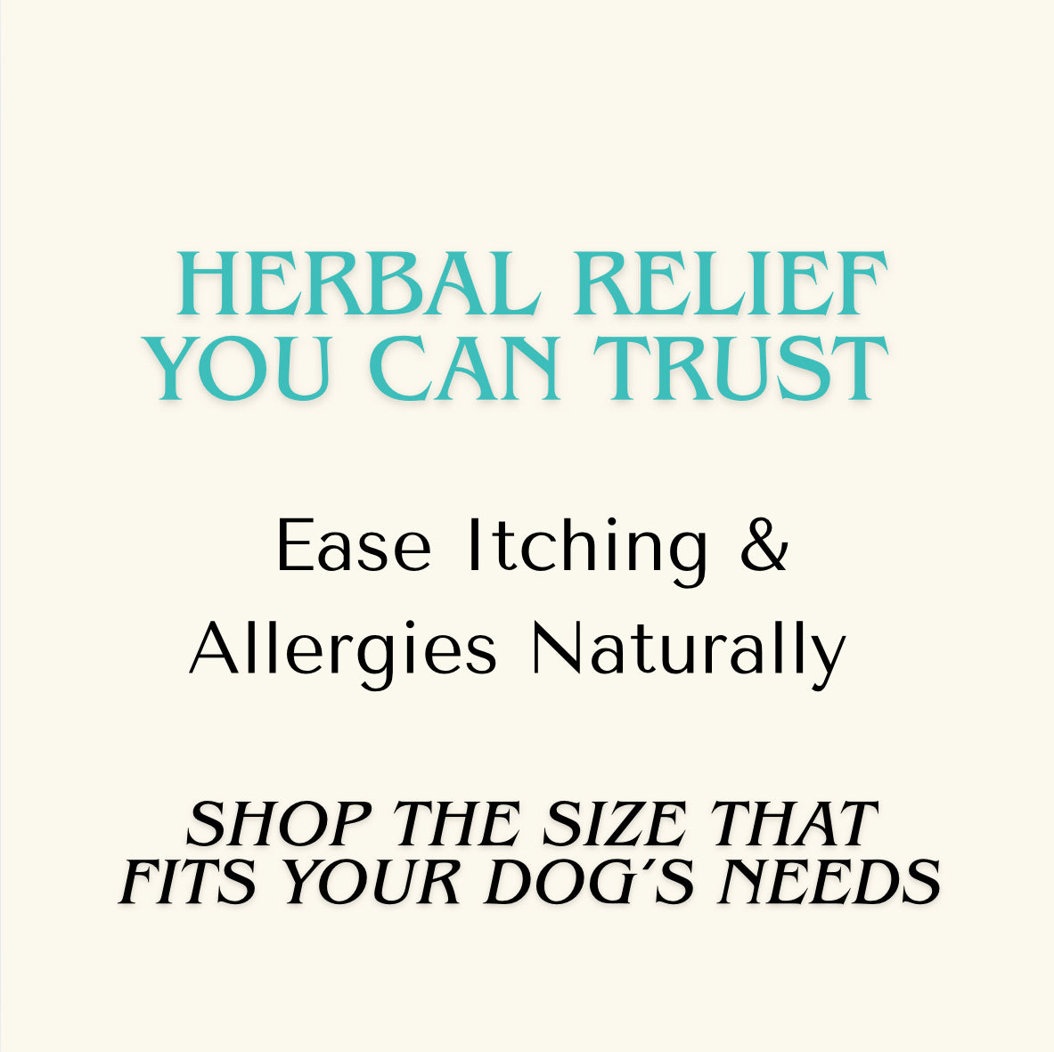 Allergy Relief — Allergy Relief Extract for Dogs | Itchy Skin & Seasonal Allergy Support