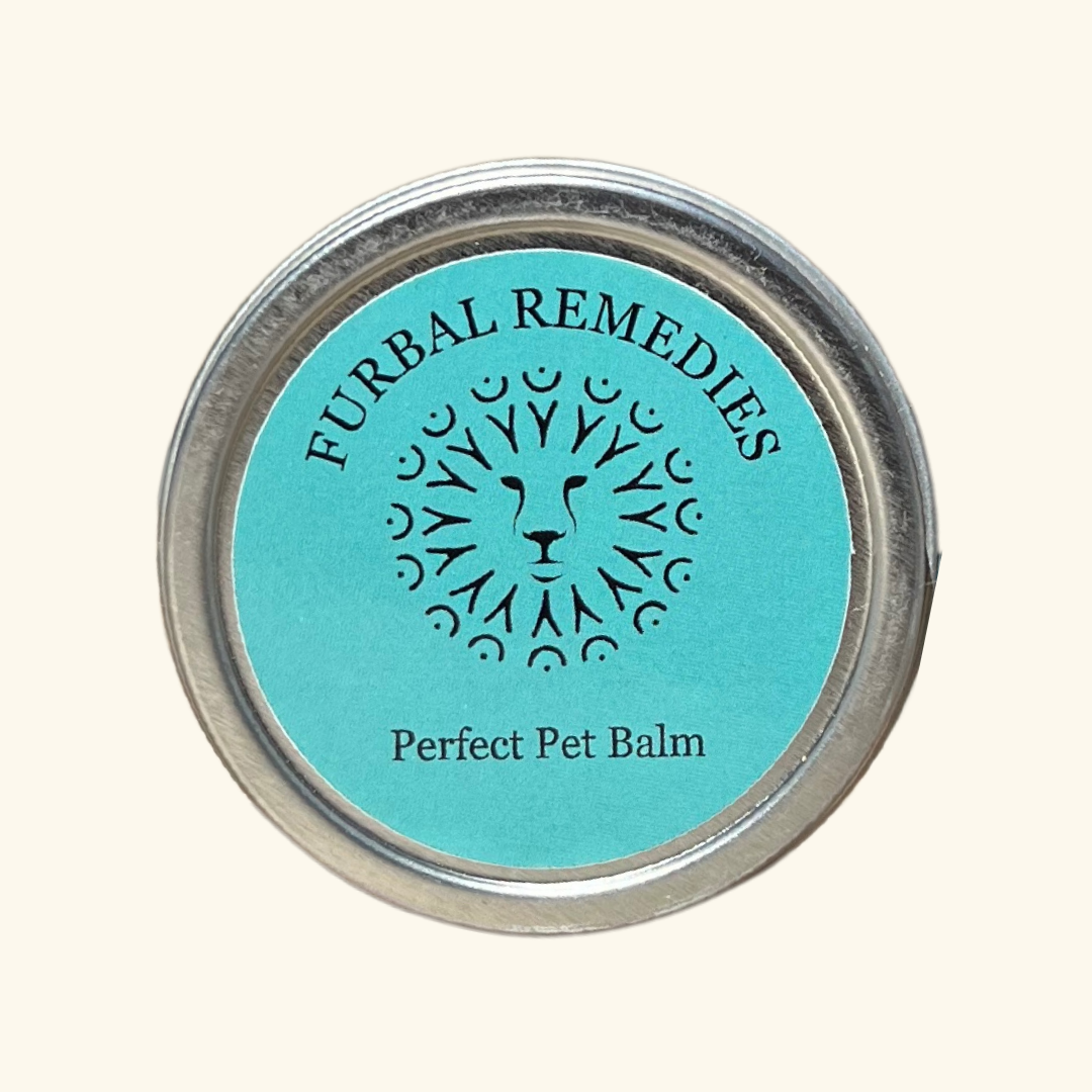 First Aid — Perfect Pet Balm for Dogs & Cats
