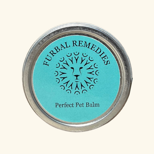 First Aid — Perfect Pet Balm for Dogs & Cats