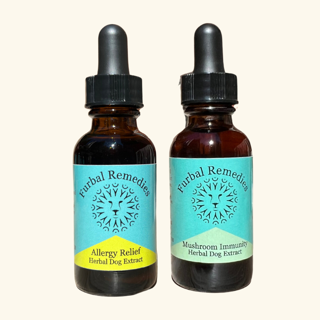 Allergy Bundle — Relief & Immune Support Combo for Dogs & Cats