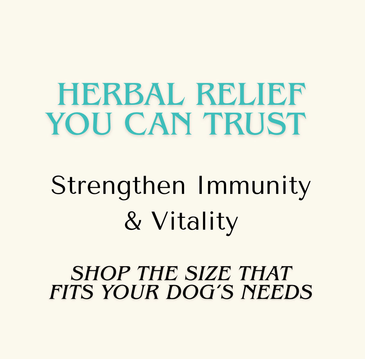 Immune Support — Medicinal Mushroom Immunity Extract for Dogs & Cats