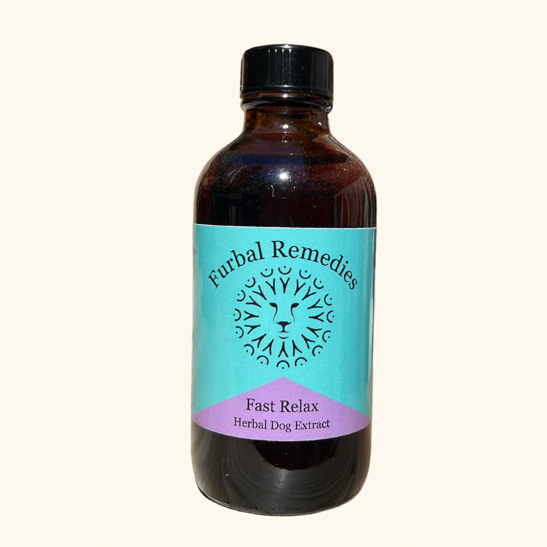 Anxiety — Fast Relax Extract for Dogs | Herbal Dog Anxiety Relief
