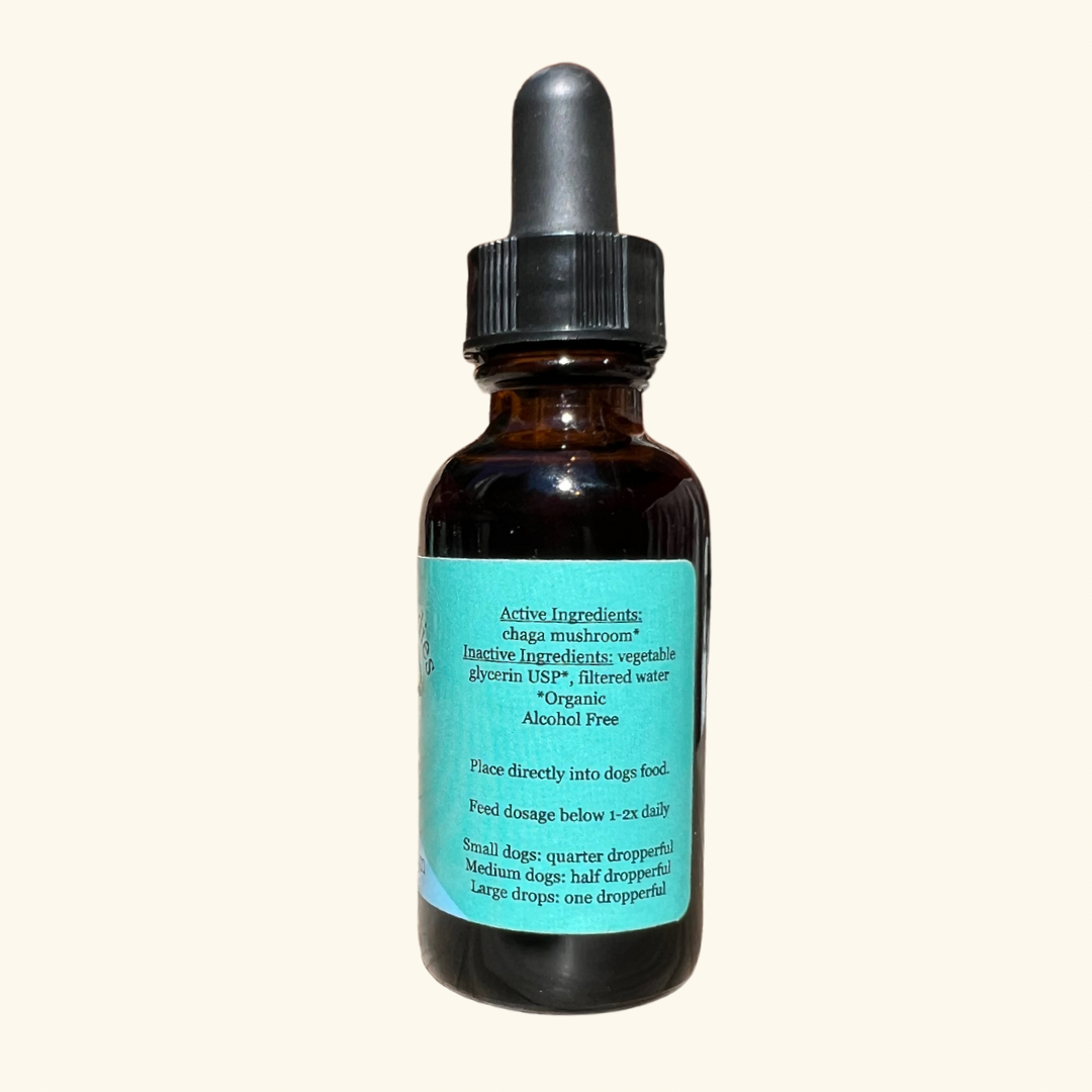 Immune Support — Chaga Mushroom Extract for Dogs & Cats