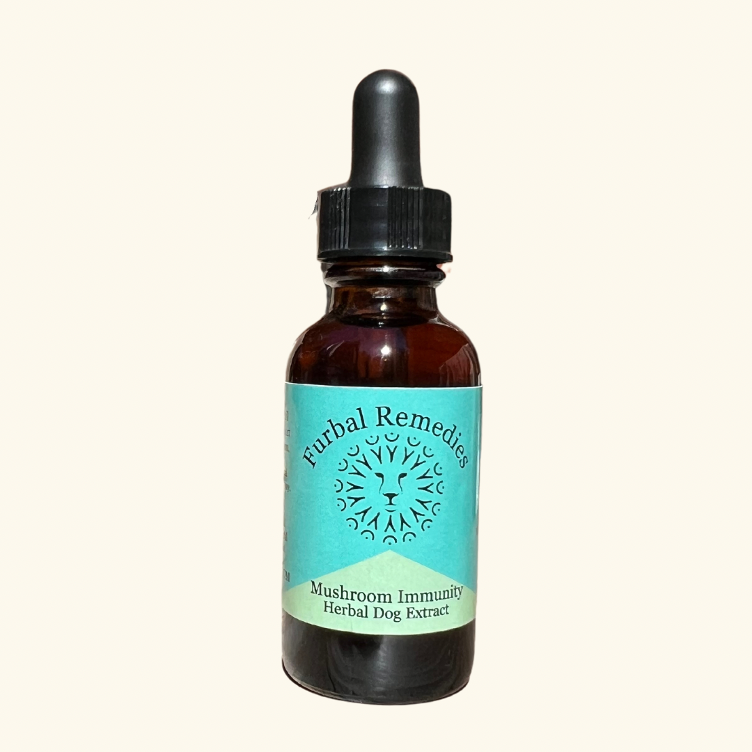 Immune Support — Medicinal Mushroom Immunity Extract for Dogs & Cats