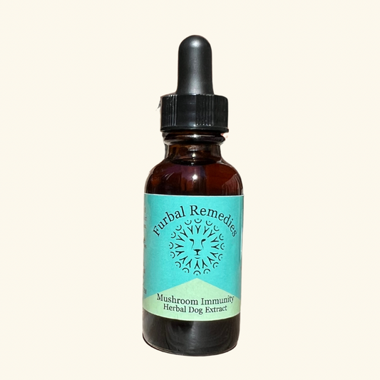 Immune Support — Medicinal Mushroom Immunity Extract for Dogs & Cats