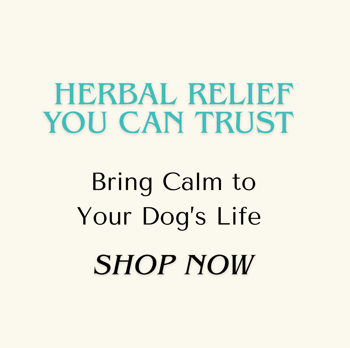 Anxiety — Fast Relax Extract for Dogs | Herbal Dog Anxiety Relief