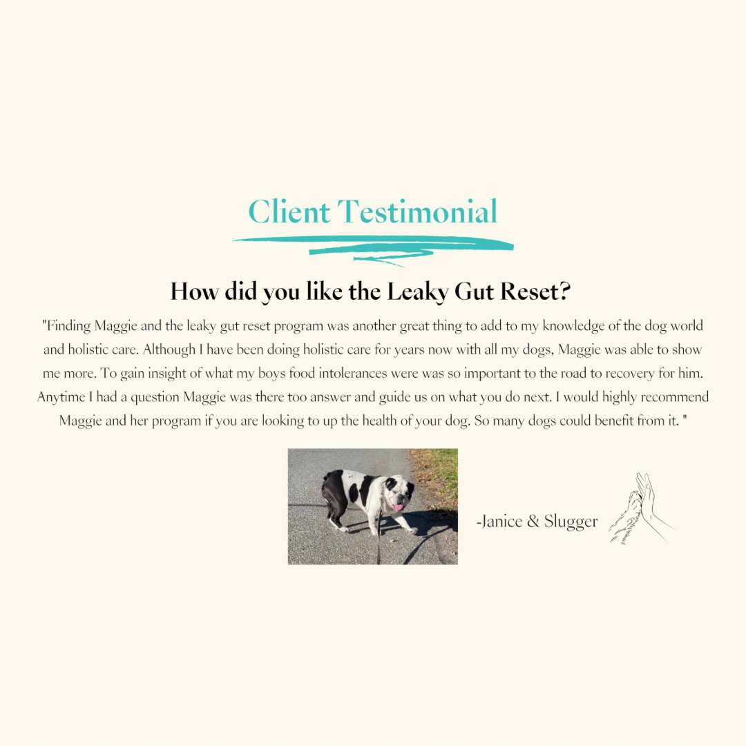 Digestive Intolerance Course — Leaky Gut Reset for Dogs