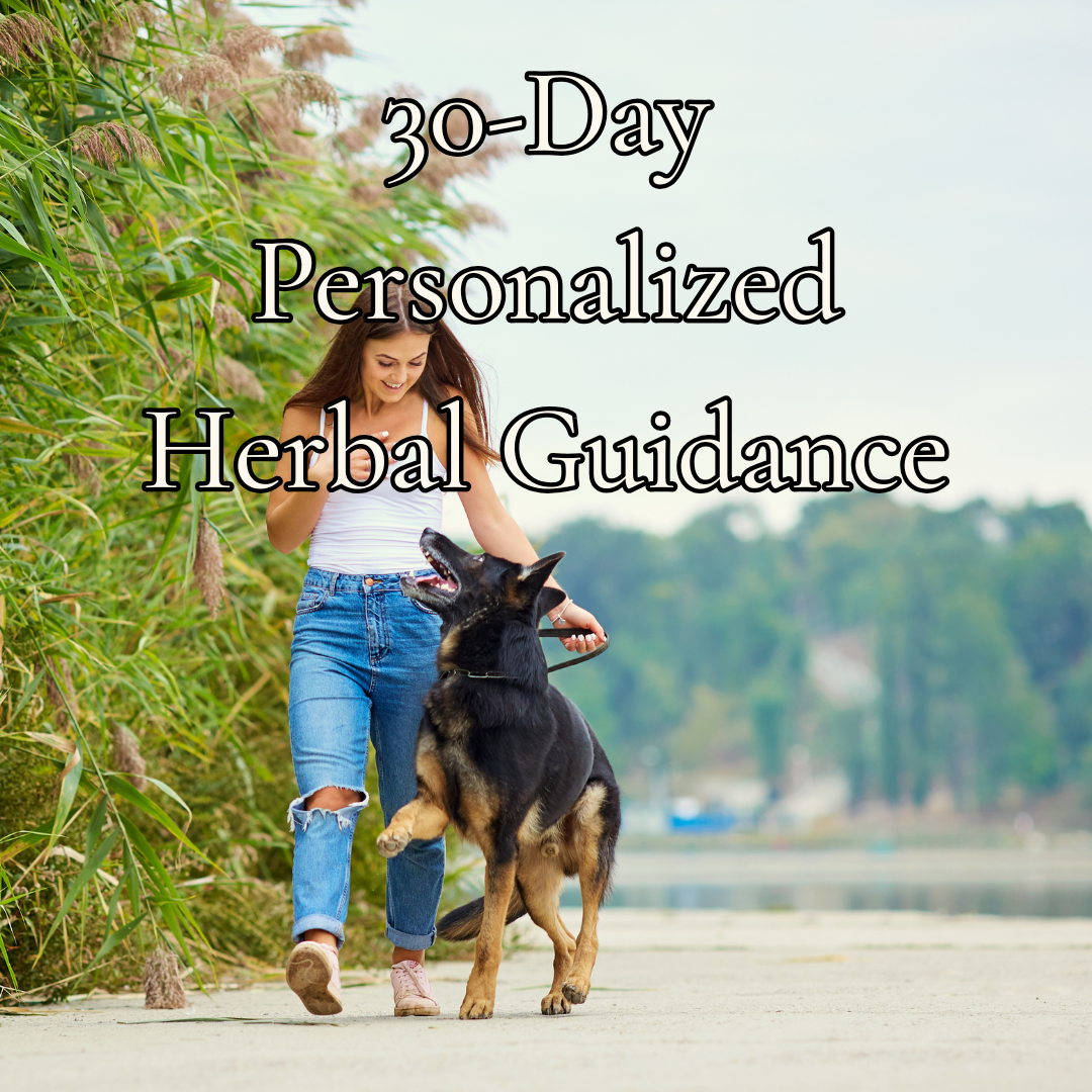 Digestive Intolerance: 30-Day Personalized Herbal Guidance