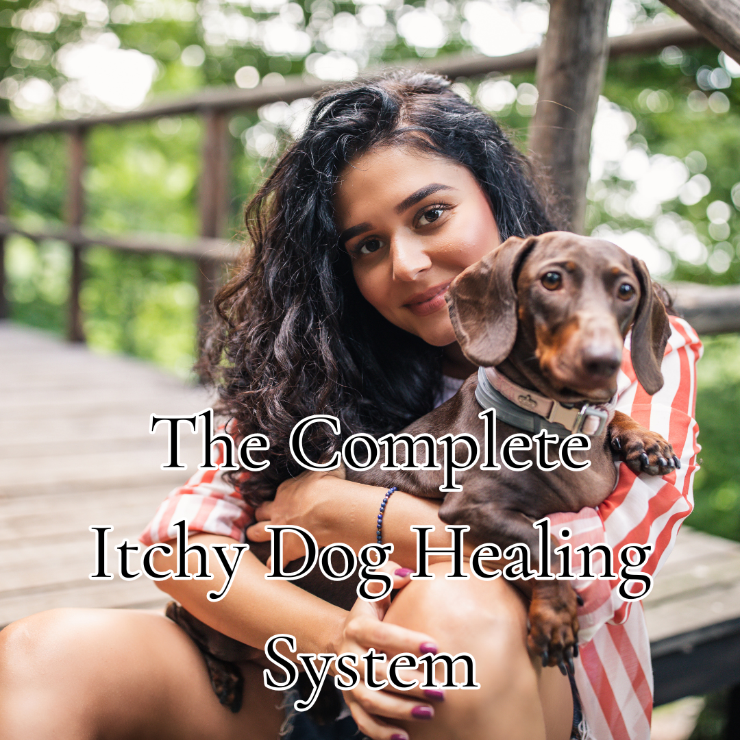 Digestive Intolerances: The Complete Itchy Dog Healing System