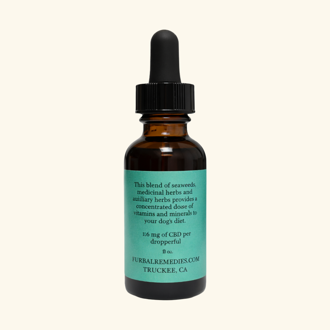 Dense Nutrition + CBD - Overall Wellness — Complete Canine+ CBD Extract for Dogs | Herbal Multivitamin & Whole-Body Support