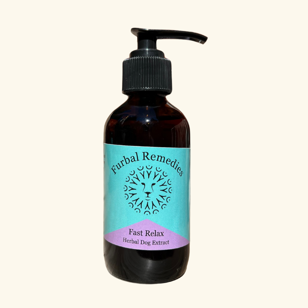 Anxiety — Fast Relax Extract for Dogs | Herbal Dog Anxiety Relief