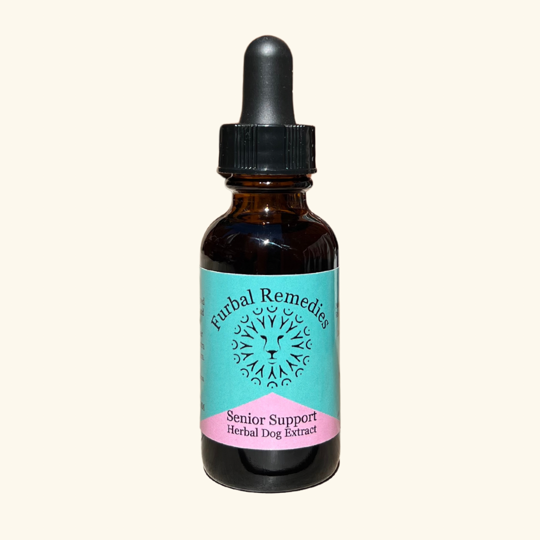 Senior Care — Senior Support Extract for Dogs & Cats