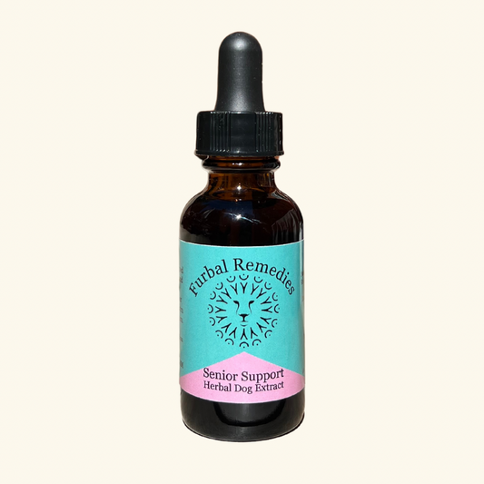 Senior Care — Senior Support Extract for Dogs & Cats