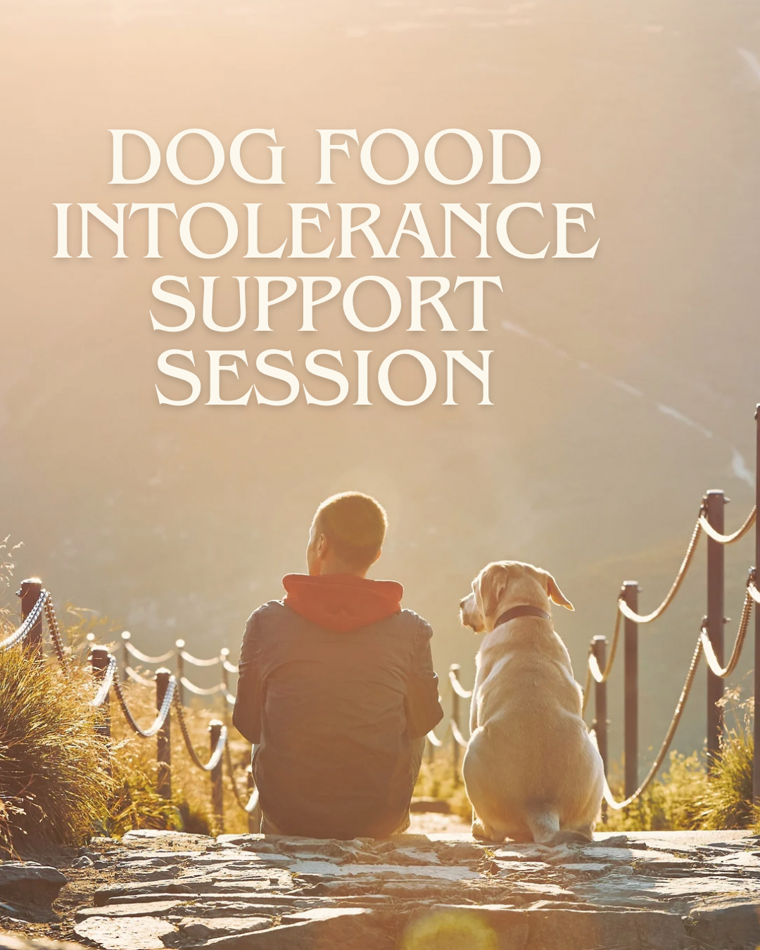 1:1 Voxer coaching for dog digestive support — walkie-talkie style food intolerance counseling for pet parents.
