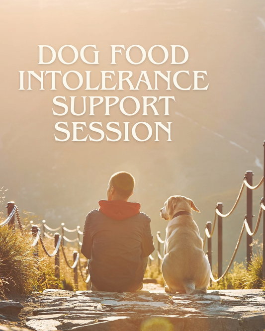 1:1 Voxer coaching for dog digestive support — walkie-talkie style food intolerance counseling for pet parents.
