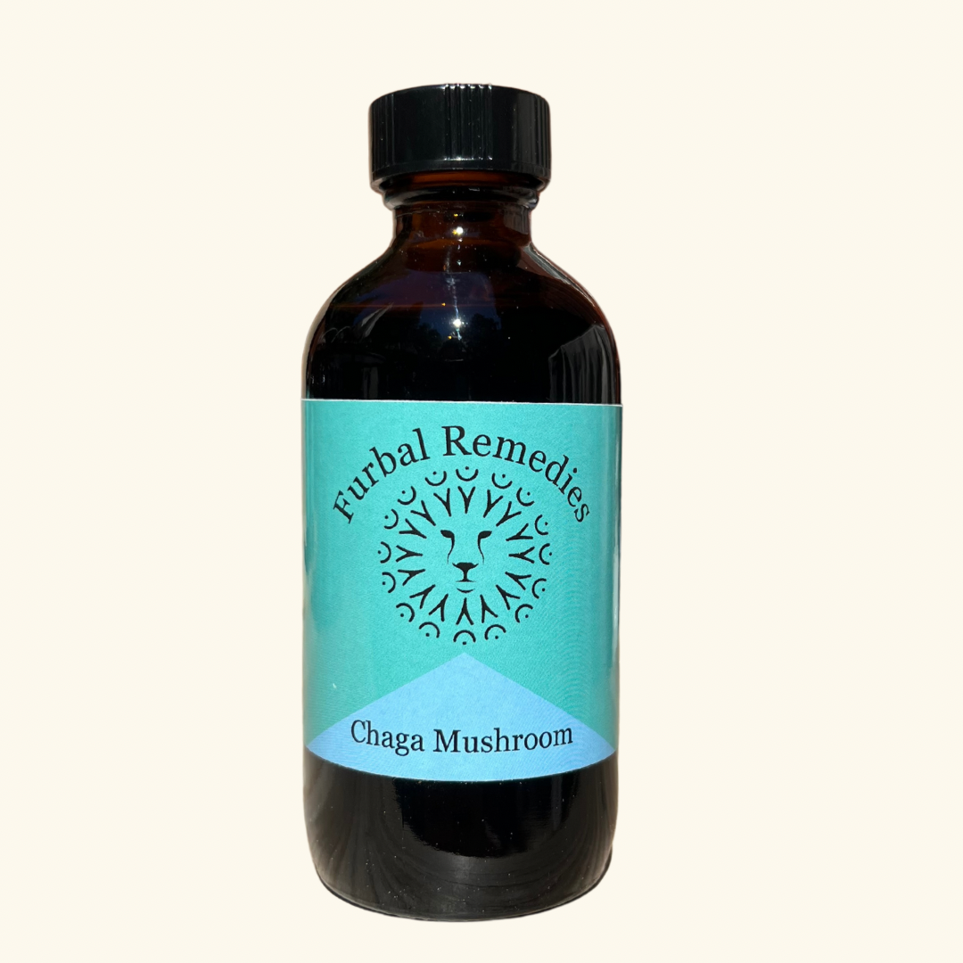 Immune Support — Chaga Mushroom Extract for Dogs & Cats