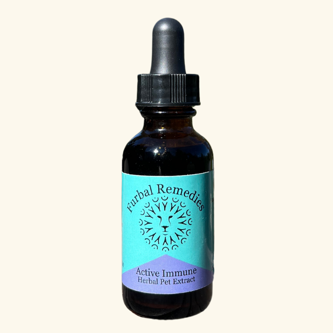 Immune Support — Active Immune Extract for Dogs & Cats | Immune System Booster