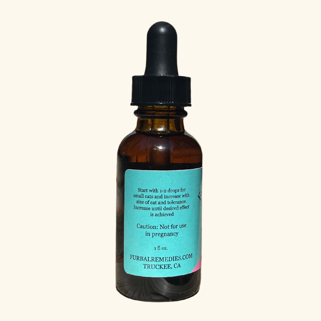 Anxiety — Feline Fast Relax Extract for Cats | Natural Cat Calming Drops