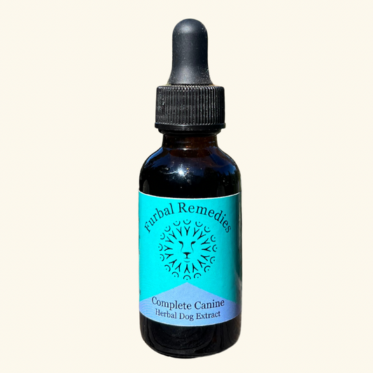 Dense Nutrition - Overall Wellness — Complete Canine Extract for Dogs | Herbal Multivitamin & Whole-Body Support