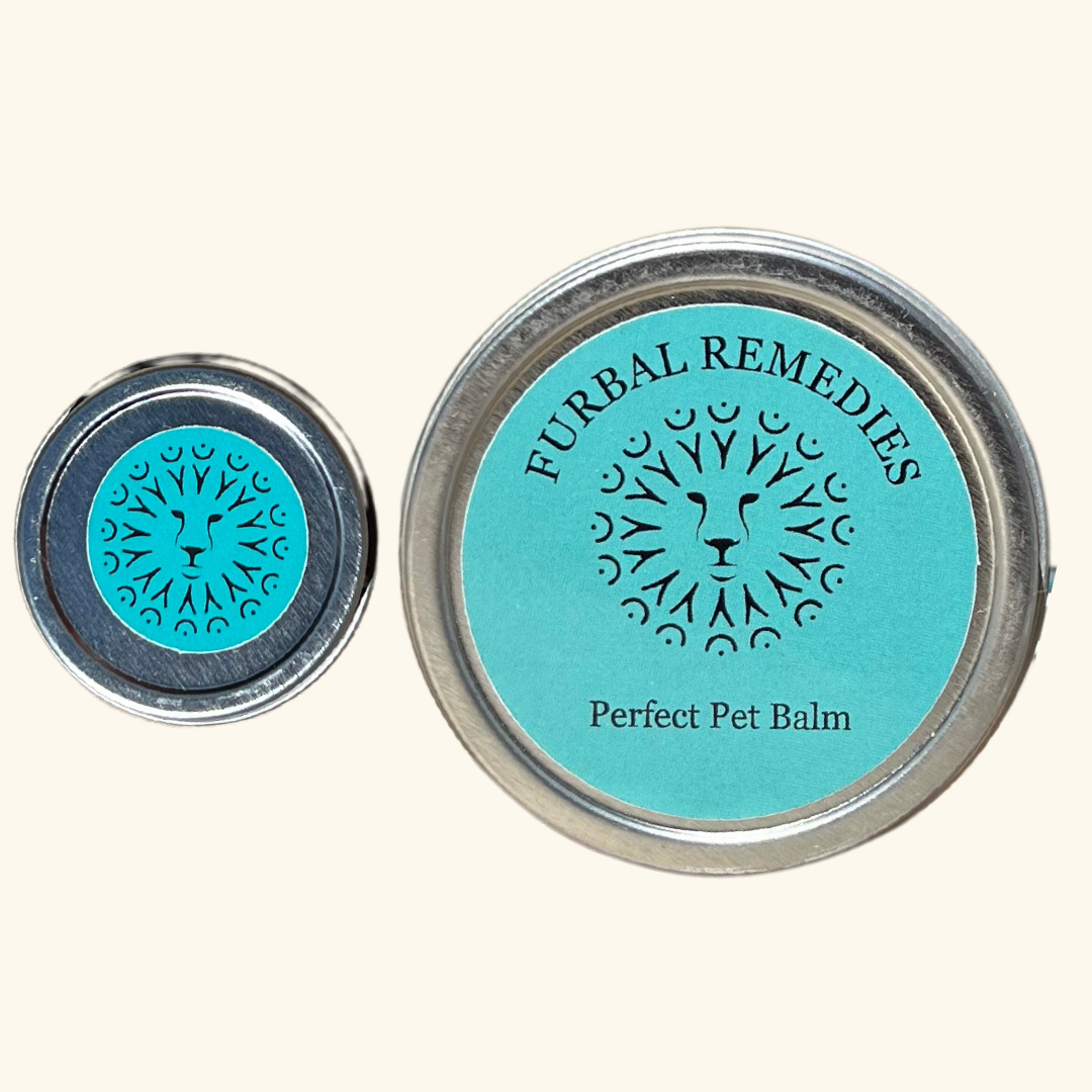First Aid — Perfect Pet Balm for Dogs & Cats