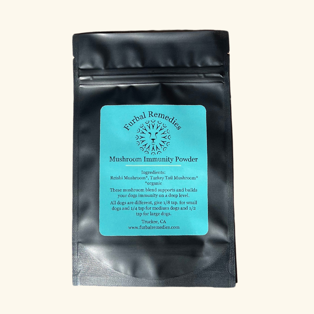 Immune Support — Mushroom Immunity Powder for Dogs & Cats