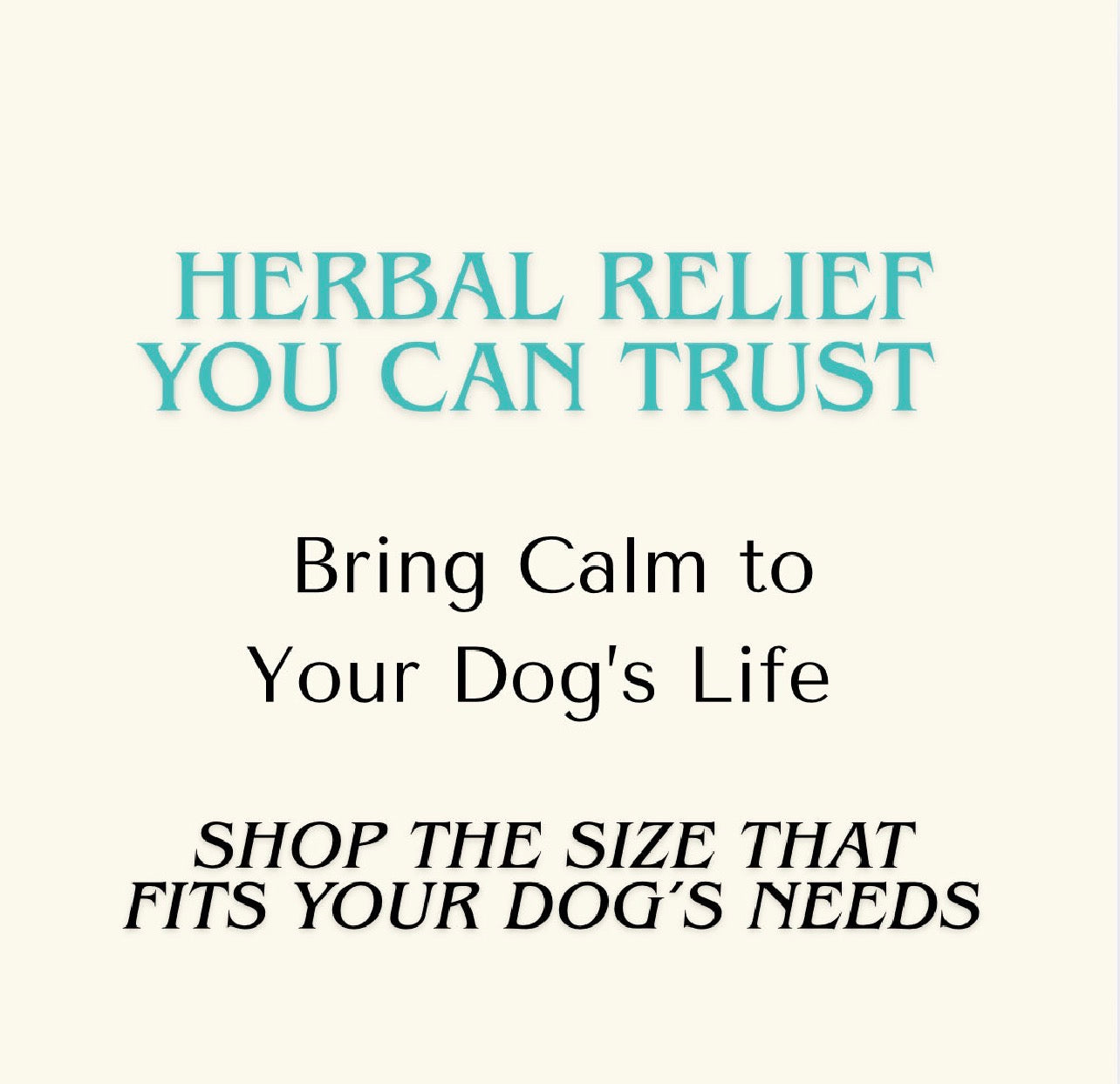 Anxiety — Fast Relax Extract for Dogs | Herbal Dog Anxiety Relief