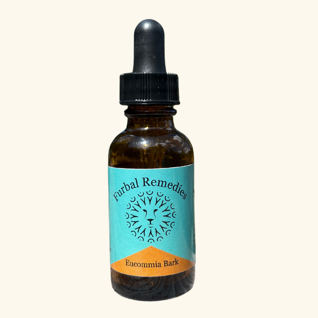 Joint Support — Eucommia Bark Extract for Dogs & Cats