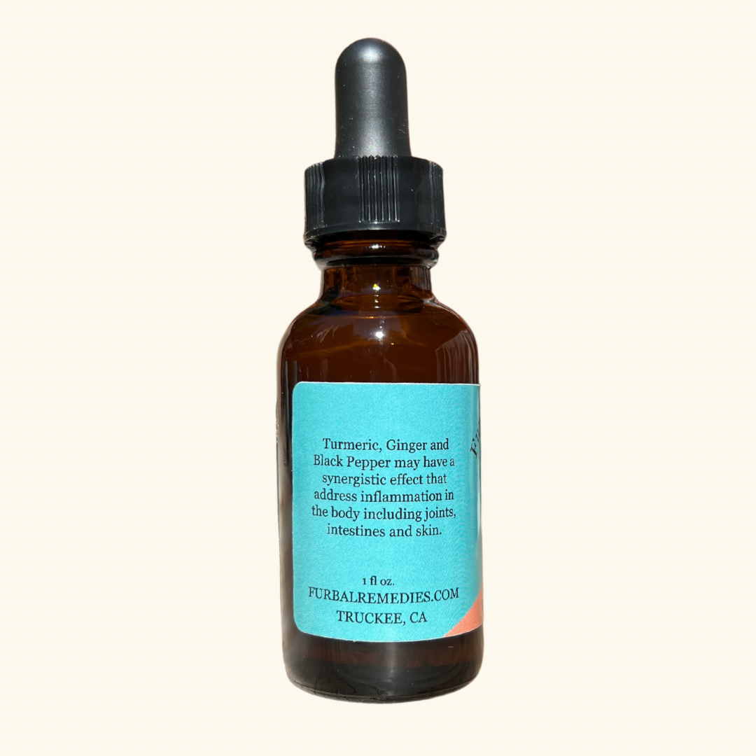 Joint Support — Recover Duo Bundle (Ginger Joint + CBD Oil) for Dogs and Cats