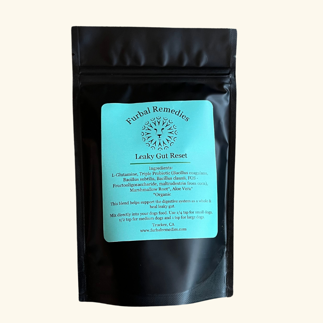 Digestive Wellness — Leaky Gut Reset Powder for Dogs & Cats