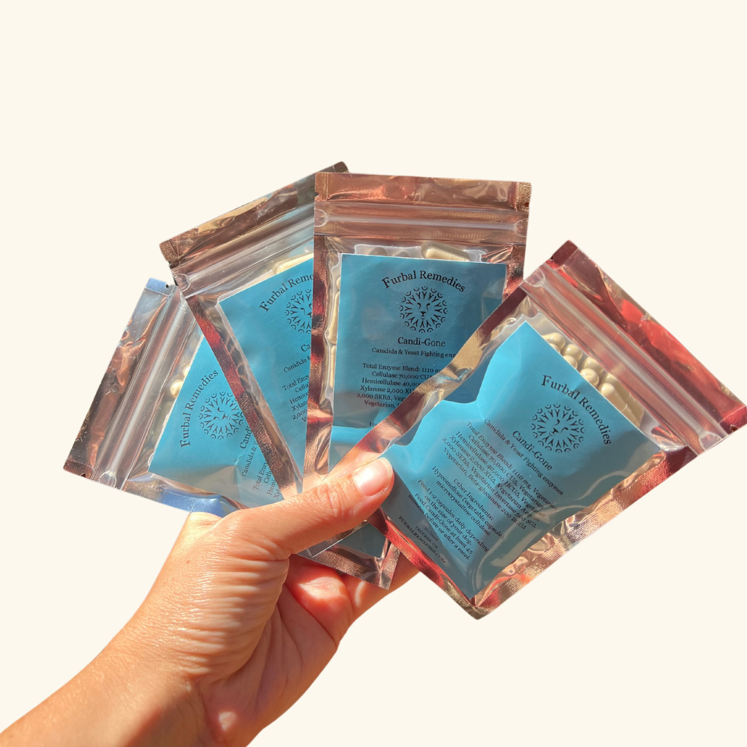 Digestive Support — Candi-Gone Enzyme Supplement for Dogs & Cats