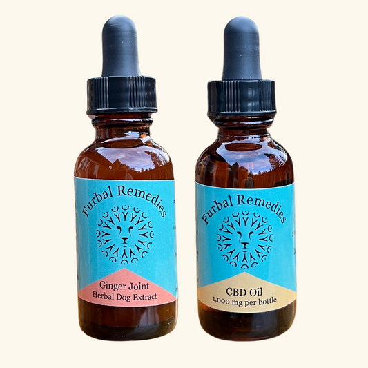 Joint Support — Recover Duo Bundle (Ginger Joint + CBD Oil) for Dogs and Cats